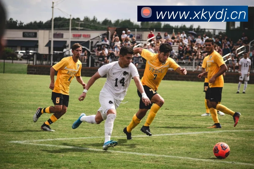 爱游戏ayx登录平台发展历程